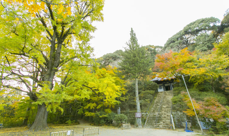 日本最南端黄檗宗　新宮禅寺散策