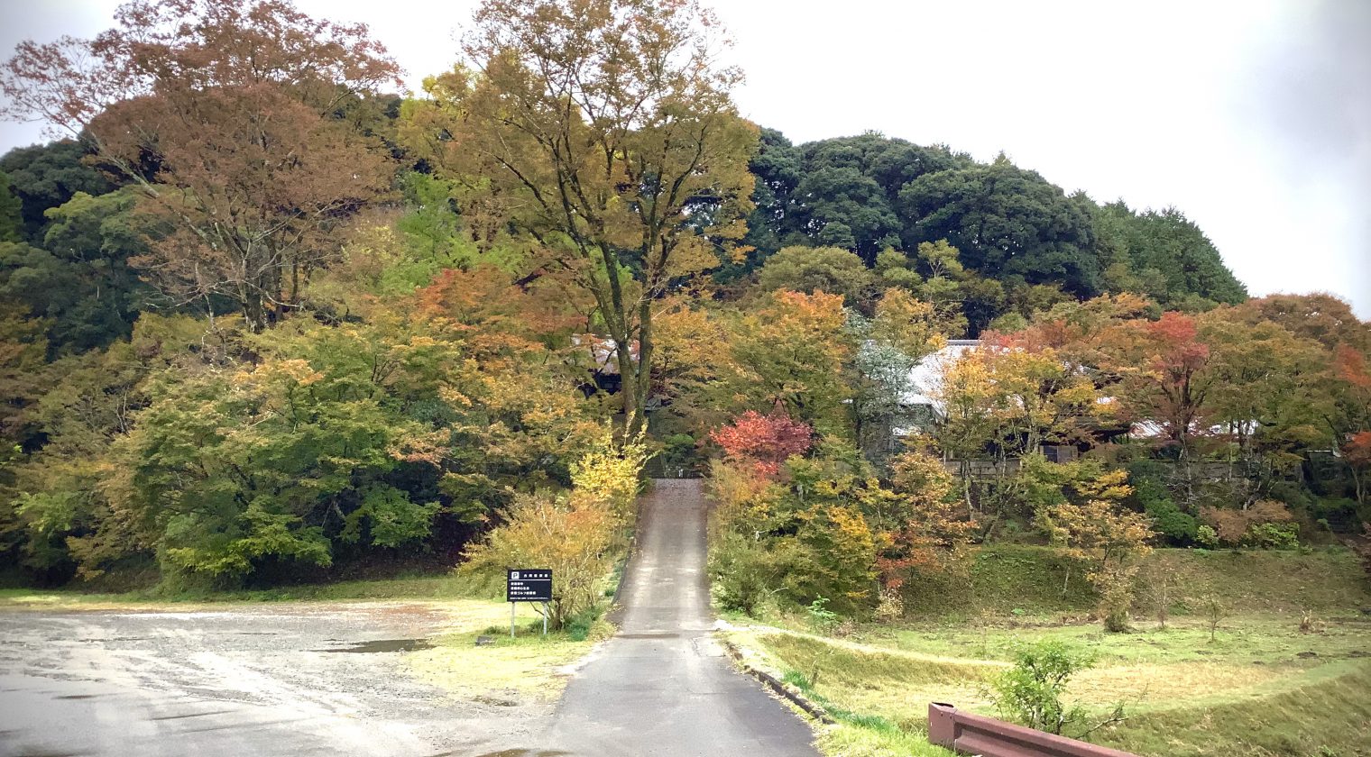 秋　今朝の新宮禅寺の森
