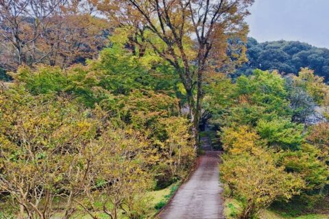 2024年　秋の新宮禅寺