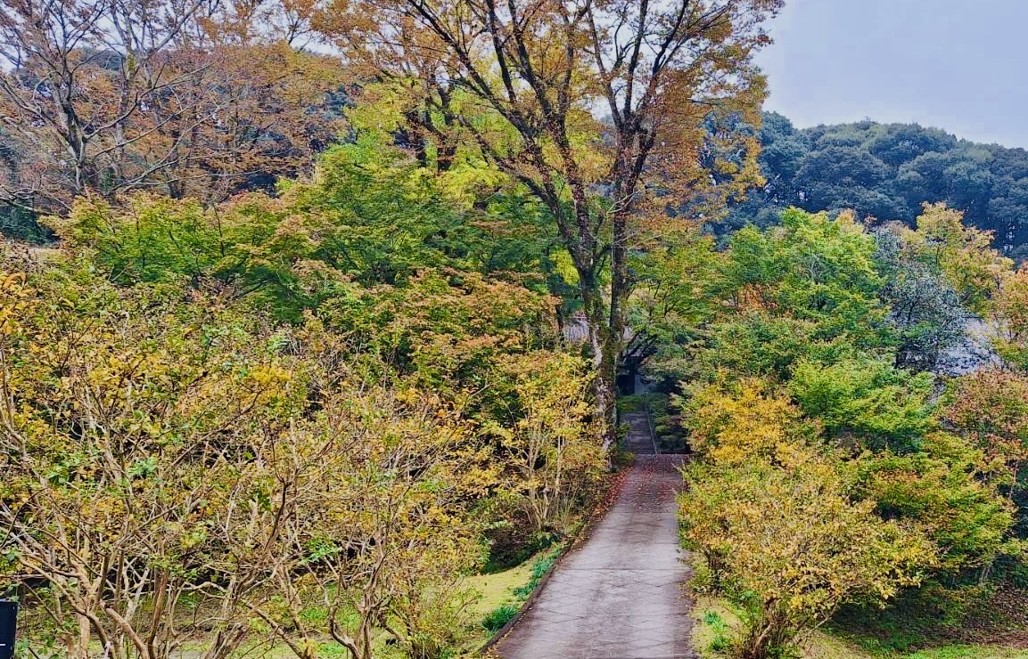 2024年　秋の新宮禅寺