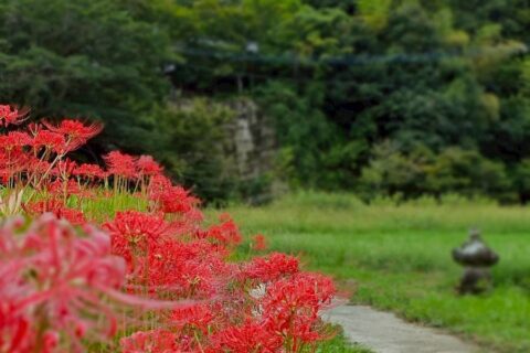 静かな秋の彩りとともに